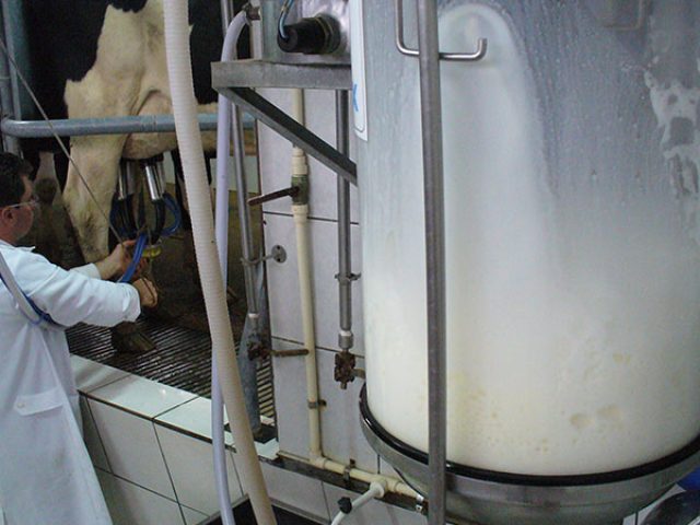 Indústria de laticínios está concentrando sua produção no leite UHT, leite em pó e queijos