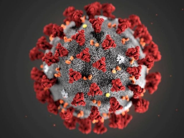 Com 16 novos casos, RS chega a 112 confirmados do novo coronavírus