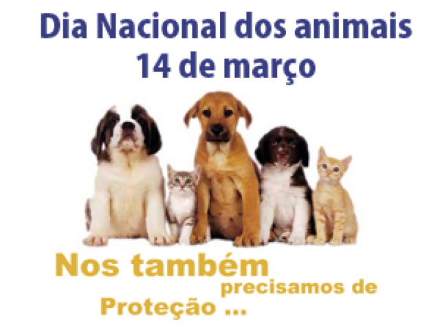 Hoje é o Dia Nacional dos Animais