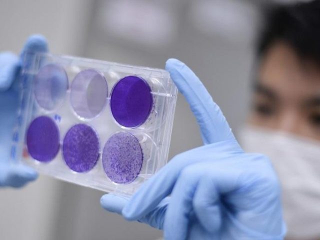 Farmacêutica anuncia potencial vacina para a Covid-19