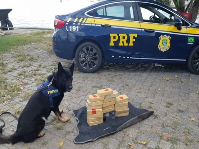 PRF registra grande aumento na apreensão de drogas, cigarros e dinheiro nas rodovias gaúchas nos três primeiros meses de 2020