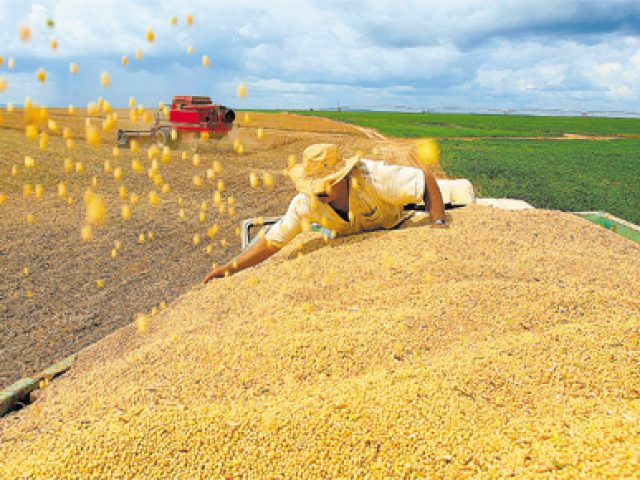 O Brasil vai liderando nas exportações globais do agro e a soja é o carro-chefe”, diz Brandalizze