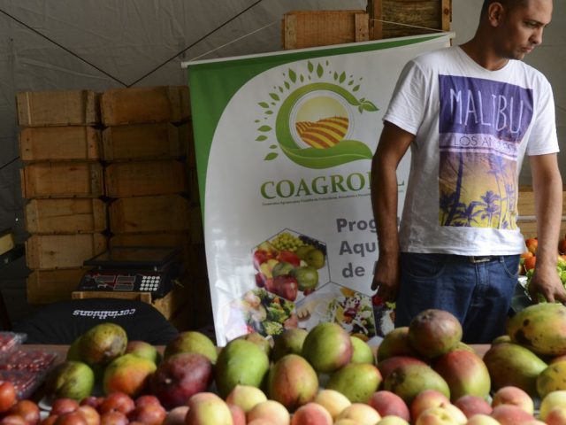Contag quer plano safra específico para agricultura familiar