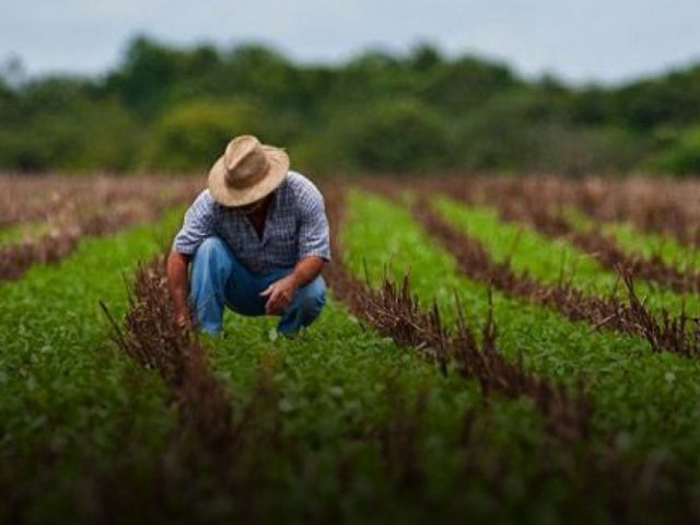 Pandemia: produtores rurais se preparam para diminuir riscos