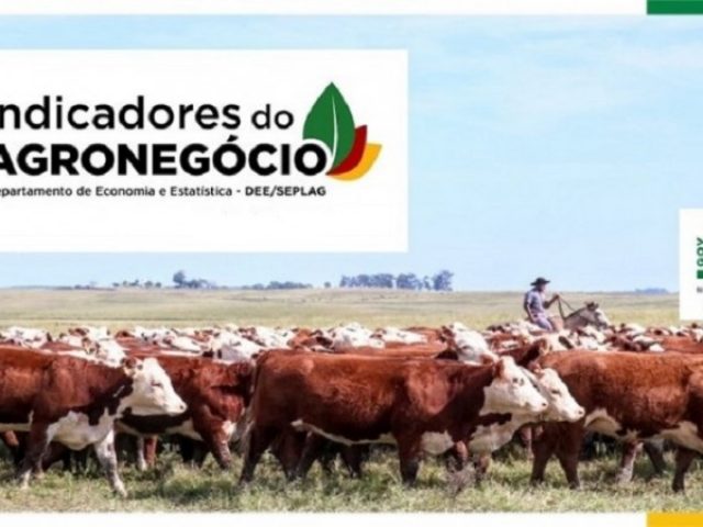 Com redução nas vendas de celulose e fumo, exportações do agronegócio gaúcho começam 2020 em queda