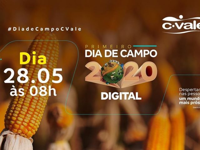 C.Vale realiza dia de campo digital sobre milho safrinha no dia 28 de maio
