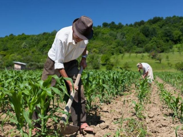 Trabalhador Rural. Parabéns pelo seu dia!