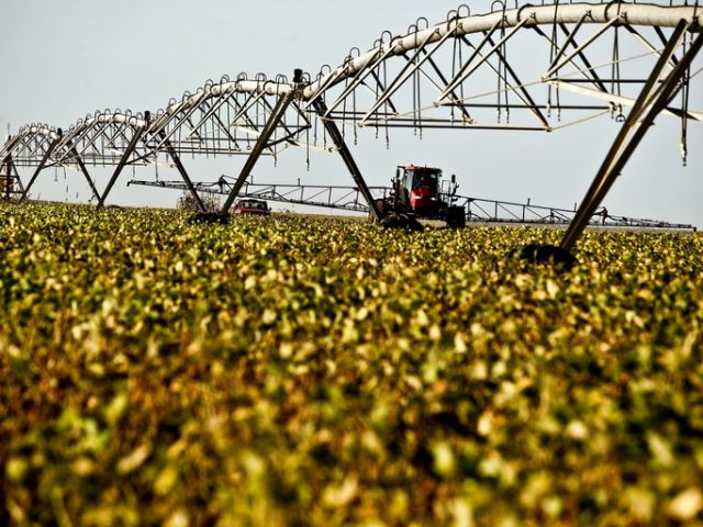 Agro é único setor da economia com crescimento na pandemia, diz IBGE