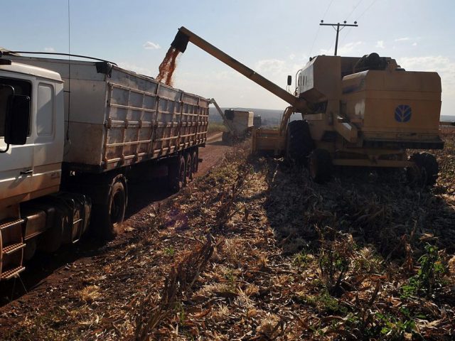 Especialista orienta produtores rurais para renegociação das parcelas de crédito rural de custeio e investimento