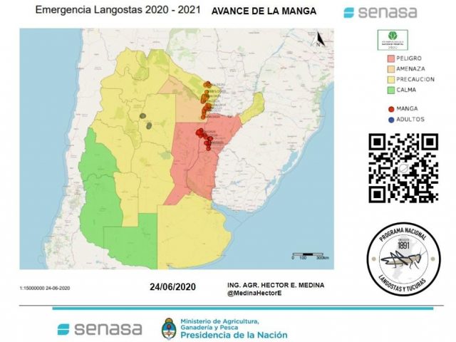 Nuvem de gafanhotos está a 130 km do Brasil e do Uruguai, diz governo da Argentina