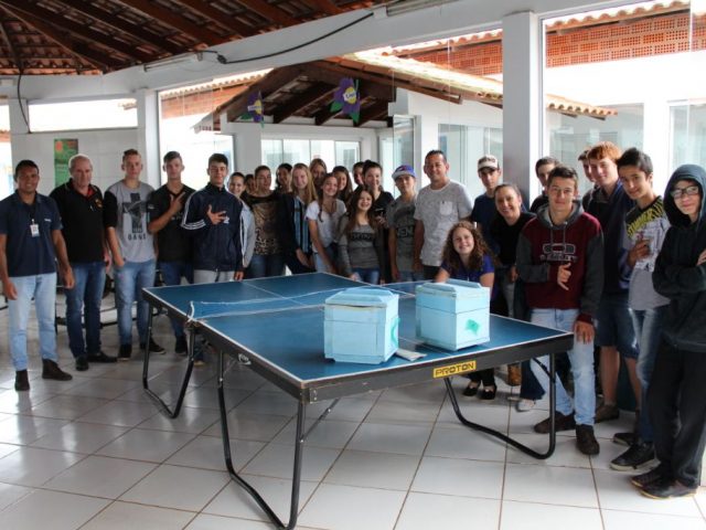 Tio Hugo segue desenvolvendo projeto de preservação de abelhas nativas sem ferrão