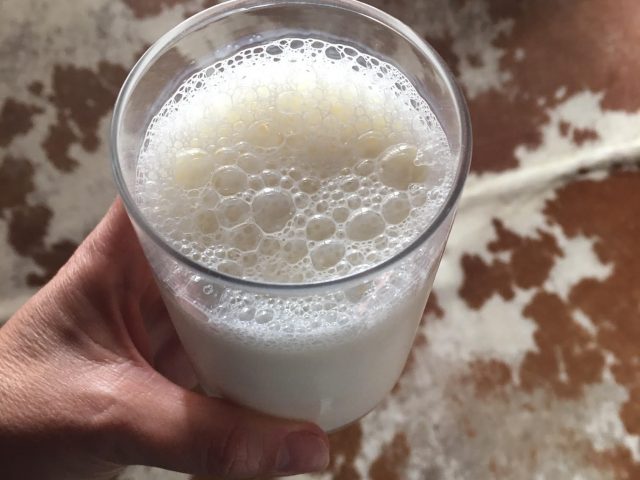 Dia do Leite: Presidente do Sindilat reforça a importância nutricional e econômica do alimento