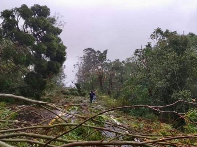 Ventos chegaram a mais de 100 km/hora no RS, SC e Paraná