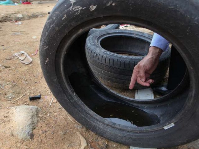 Rio Grande do Sul se aproxima de recorde em casos de dengue