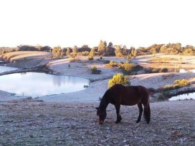 Temperaturas despencam no Rio Grande do Sul