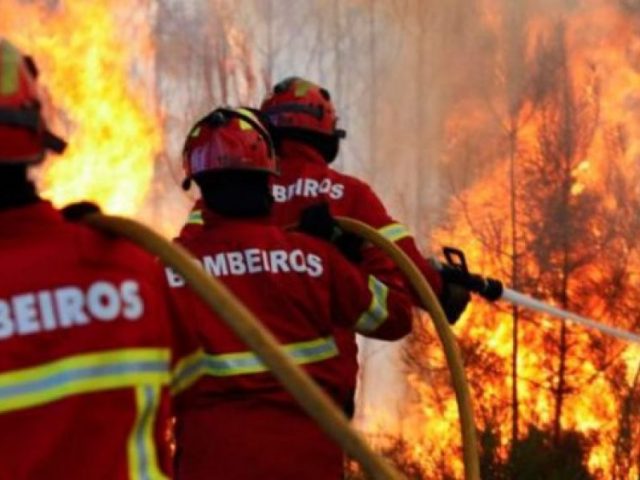 Dia do Bombeiro: homenagem aos que dão a própria vida por muitas outras vidas