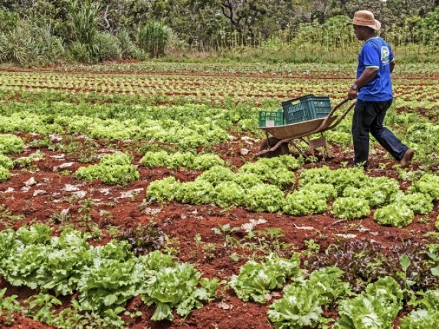 FETAG-RS e Movimento Sindical obtém vitórias para Agricultura Familiar