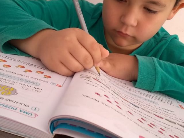 Profissionais da educação, professores, pais e alunos se reinventam para dar continuidade ao ano letivo em casa
