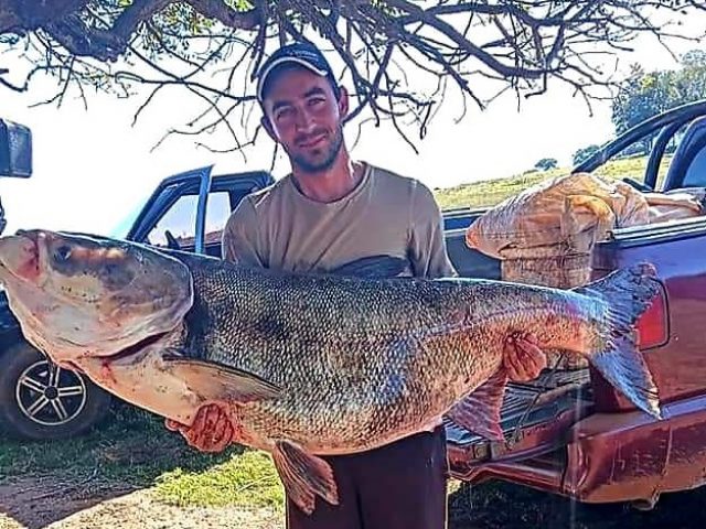 Peixe de 51 kg é pescado no Lago Passo Real em Quinze de Novembro