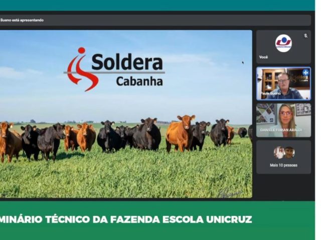 Estudo na Cabanha Soldera revela que integração lavoura-pecuária pode aumentar a produtividade em mais de 20%
