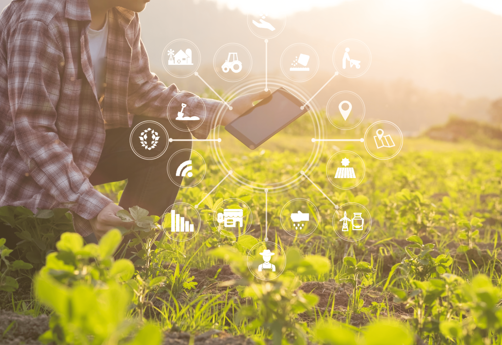 SmartCoop é exemplo de ferramentas que fomentam a Agricultura digital 