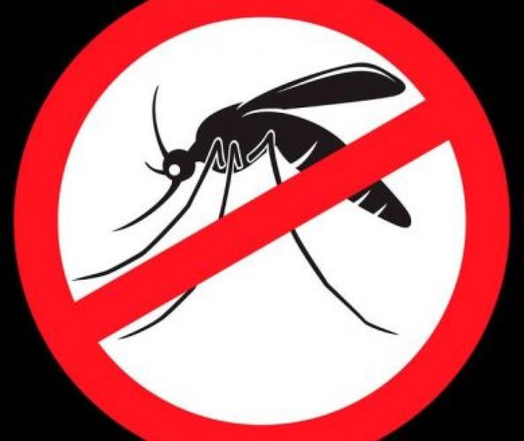 Campanha de combate ao mosquito Aedes aegypti em Lagoa dos Três Cantos