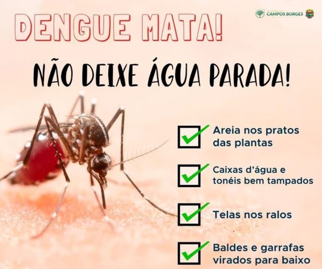 Campos Borges classifica-se em  médio risco para Dengue
