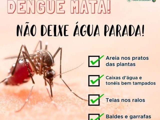 Campos Borges classifica-se em  médio risco para Dengue