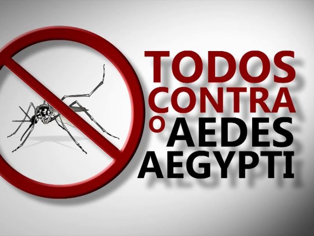Aumento no número de focos de criadouros do Aedes aegypti classifica Campos Borges em risco médio de contaminação