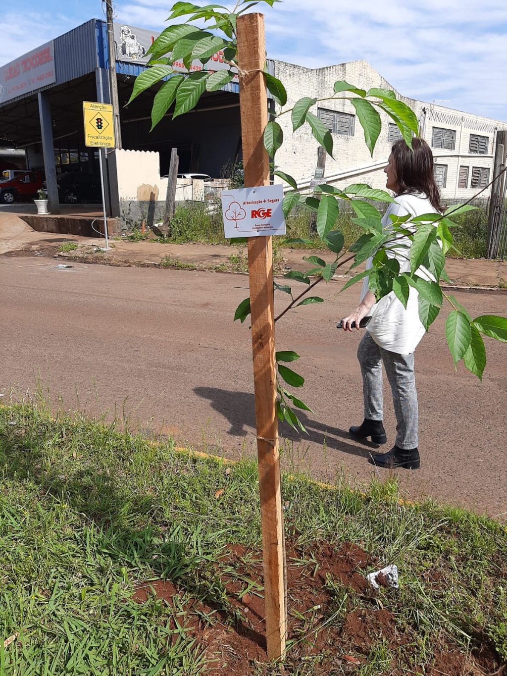 Programa Arborização + Segura da RGE planta 200 árvores em Espumoso