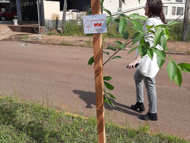 Programa Arborização + Segura da RGE planta 200 árvores em Espumoso
