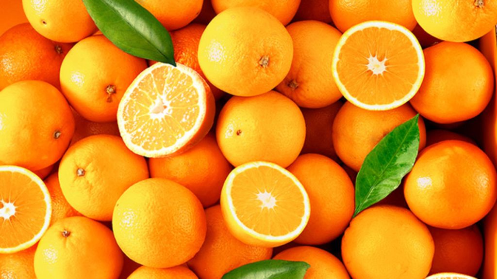 Maior produtor de laranjas no Rio Grande do Sul espera safra quase 30% menor