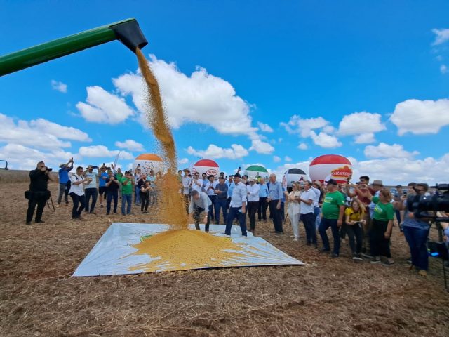 Celebração da Abertura Oficial da Colheita da Soja em Tapera: Um marco na agricultura local
